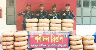 কুমিল্লার সীমান্ত এলাকা থেকে বিপুল গাঁজা উদ্ধার